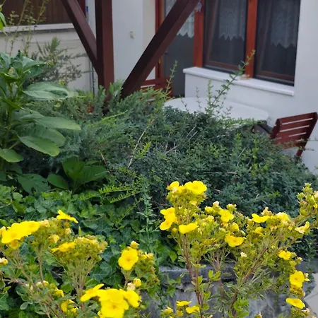 Apartament Buekk Vendeghazak - *