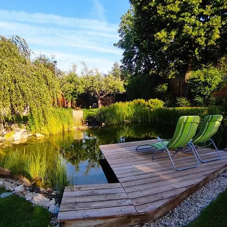 Apartament Buekk Vendeghazak -